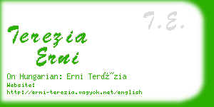 terezia erni business card